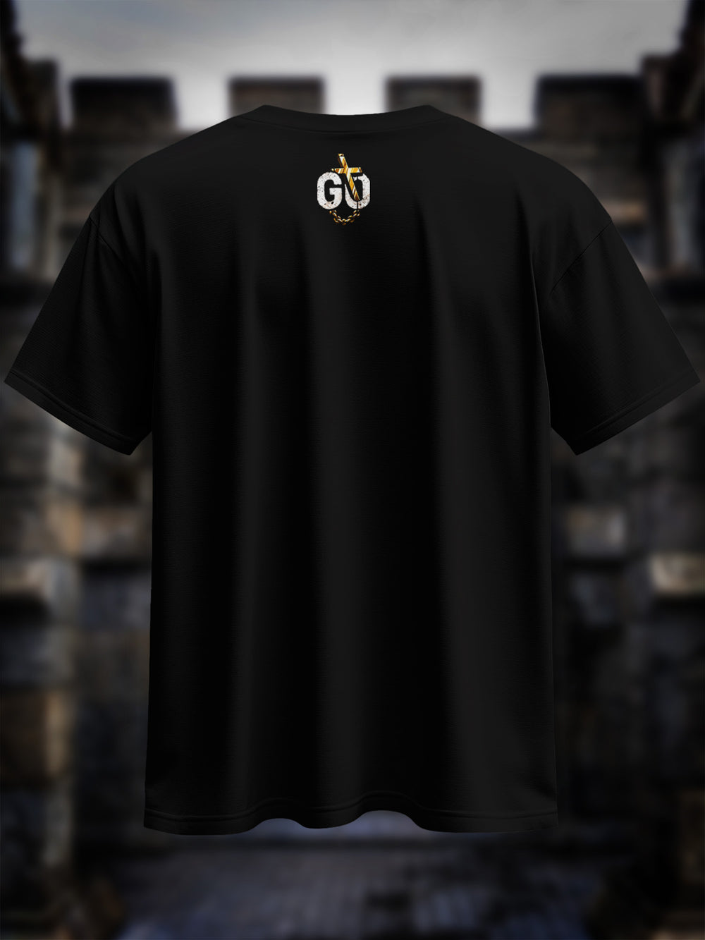 "Veritas Aequitas" Premium Oversize Shirt